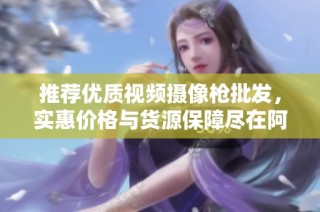 推荐优质视频摄像枪批发，实惠价格与货源保障尽在阿里巴巴