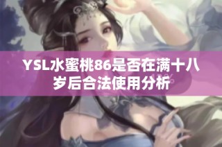 YSL水蜜桃86是否在满十八岁后合法使用分析
