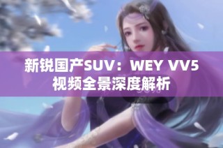 新锐国产SUV：WEY VV5视频全景深度解析