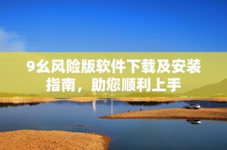 9幺风险版软件下载及安装指南，助您顺利上手