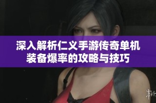 深入解析仁义手游传奇单机装备爆率的攻略与技巧