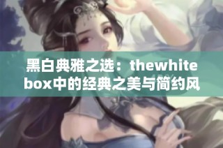黑白典雅之选：thewhitebox中的经典之美与简约风格