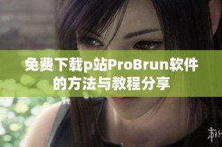 免费下载p站ProBrun软件的方法与教程分享