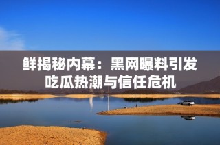 鲜揭秘内幕：黑网曝料引发吃瓜热潮与信任危机