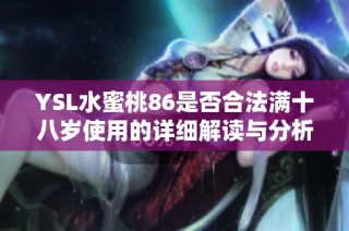 YSL水蜜桃86是否合法满十八岁使用的详细解读与分析