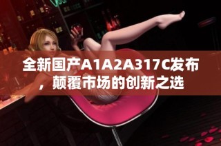 全新国产A1A2A317C发布，颠覆市场的创新之选