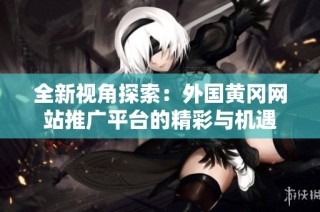全新视角探索：外国黄冈网站推广平台的精彩与机遇