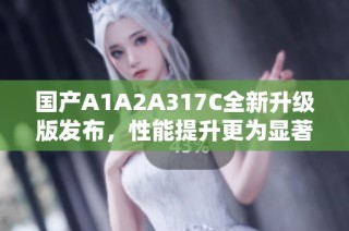 国产A1A2A317C全新升级版发布，性能提升更为显著