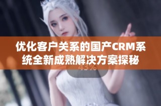 优化客户关系的国产CRM系统全新成熟解决方案探秘