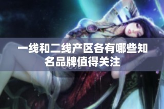 一线和二线产区各有哪些知名品牌值得关注
