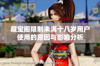 藏宝阁限制未满十八岁用户使用的原因与影响分析