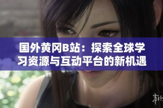 国外黄冈B站：探索全球学习资源与互动平台的新机遇