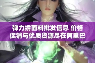 弹力绣面料批发信息 价格促销与优质货源尽在阿里巴巴