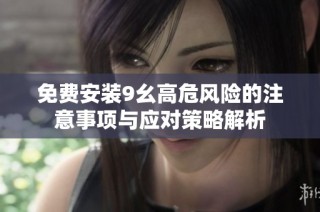 免费安装9幺高危风险的注意事项与应对策略解析