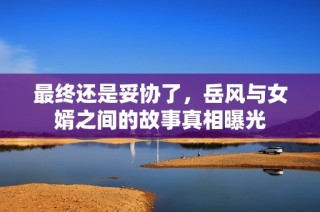最终还是妥协了，岳风与女婿之间的故事真相曝光