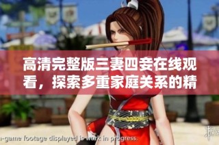 高清完整版三妻四妾在线观看，探索多重家庭关系的精彩故事