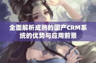 全面解析成熟的国产CRM系统的优势与应用前景