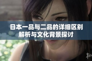 日本一品与二品的详细区别解析与文化背景探讨