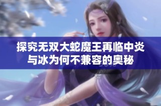 探究无双大蛇魔王再临中炎与冰为何不兼容的奥秘