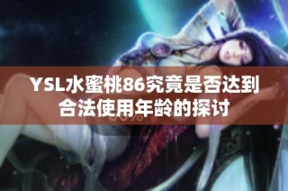 YSL水蜜桃86究竟是否达到合法使用年龄的探讨
