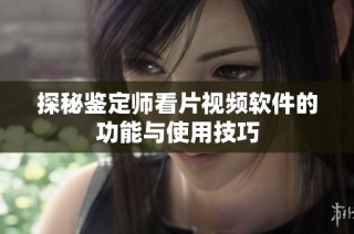 探秘鉴定师看片视频软件的功能与使用技巧