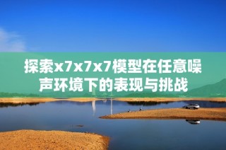 探索x7x7x7模型在任意噪声环境下的表现与挑战