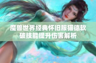 魔兽世界经典怀旧服猫德软破技能提升伤害解析