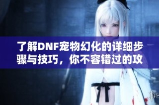 了解DNF宠物幻化的详细步骤与技巧，你不容错过的攻略指南