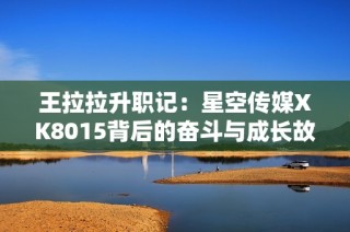 王拉拉升职记：星空传媒XK8015背后的奋斗与成长故事