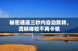 秘密通道三秒内自动跳转，流畅体验不再卡顿