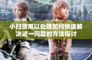 小扫货难以处理如何快速解决这一问题的方法探讨