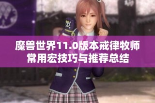 魔兽世界11.0版本戒律牧师常用宏技巧与推荐总结