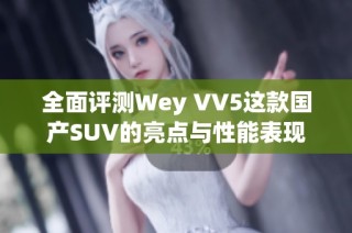全面评测Wey VV5这款国产SUV的亮点与性能表现