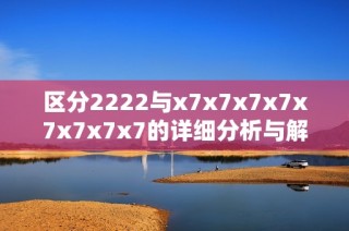区分2222与x7x7x7x7x7x7x7x7的详细分析与解读