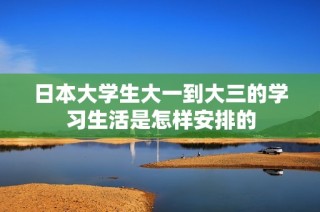 日本大学生大一到大三的学习生活是怎样安排的