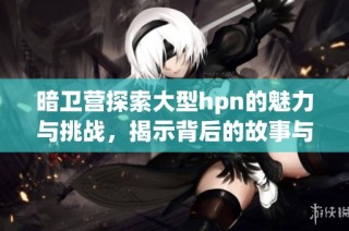 暗卫营探索大型hpn的魅力与挑战，揭示背后的故事与经验