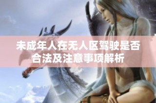 未成年人在无人区驾驶是否合法及注意事项解析