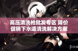 高压清洗枪批发专区 降价促销下水道清洗解决方案