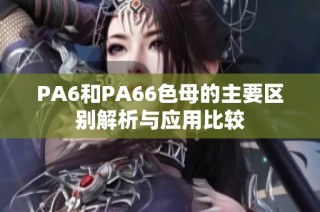 PA6和PA66色母的主要区别解析与应用比较