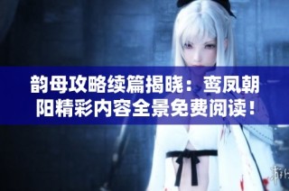 韵母攻略续篇揭晓：鸾凤朝阳精彩内容全景免费阅读！