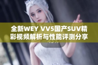 全新WEY VV5国产SUV精彩视频解析与性能评测分享