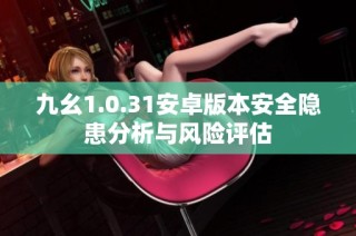 九幺1.0.31安卓版本安全隐患分析与风险评估