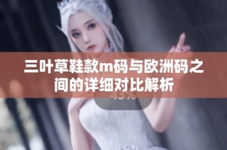 三叶草鞋款m码与欧洲码之间的详细对比解析