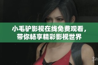 小毛驴影视在线免费观看，带你畅享精彩影视世界