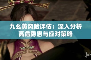 九幺黄风险评估：深入分析高危隐患与应对策略