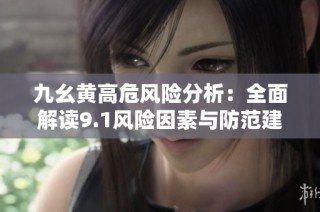 九幺黄高危风险分析：全面解读9.1风险因素与防范建议