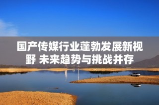国产传媒行业蓬勃发展新视野 未来趋势与挑战并存