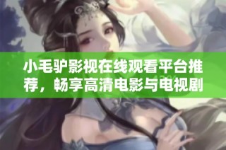 小毛驴影视在线观看平台推荐，畅享高清电影与电视剧