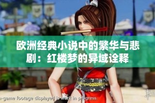 欧洲经典小说中的繁华与悲剧：红楼梦的异域诠释