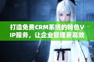 打造免费CRM系统的特色VIP服务，让企业管理更高效